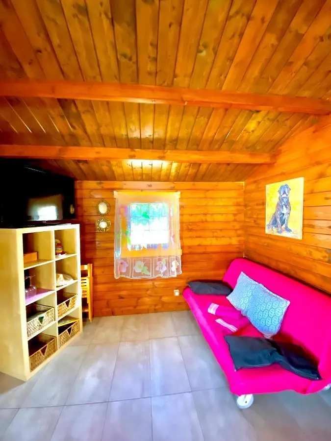 Canary Wild House 2 Carrizal Villa